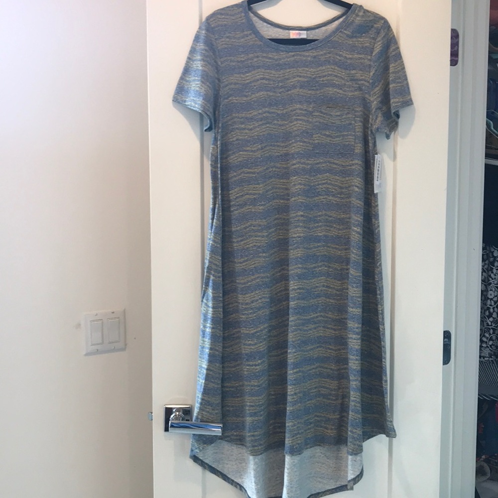 Lularoe Carly Large NWT